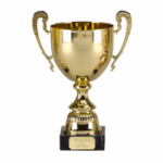 Award 4