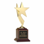 Award 5