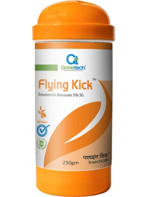 Flying kick
