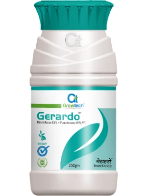 Gerardo