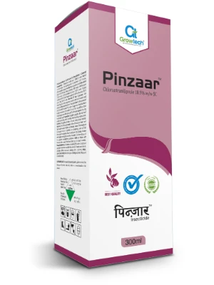 Pinzaar