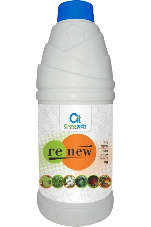 Renew