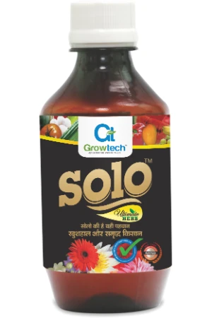 Solo (Antiviral)