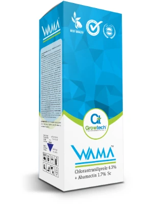Wama