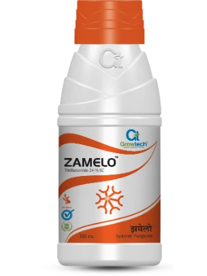 Zamelo